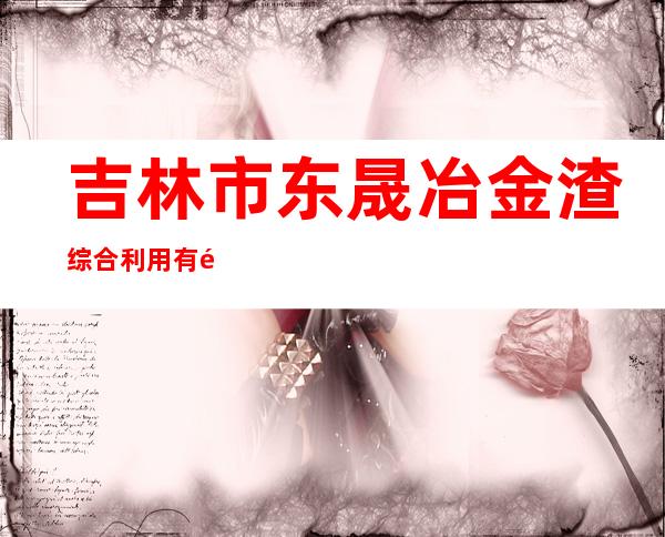 吉林市东晟冶金渣综合利用有限公司